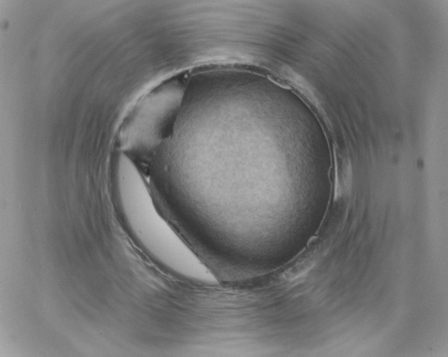 X0000062890387200602031812