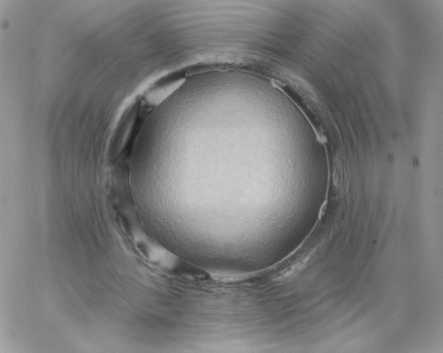 X0000062890388200602031812