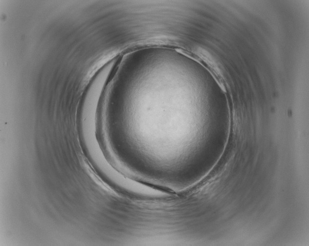 X0000062890389200602031812