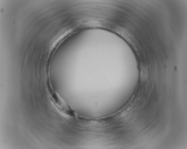 X0000062890390200602031812