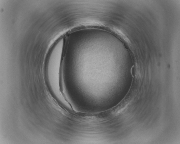 X0000062890391200602031812