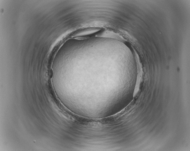 X0000062890392200602031812