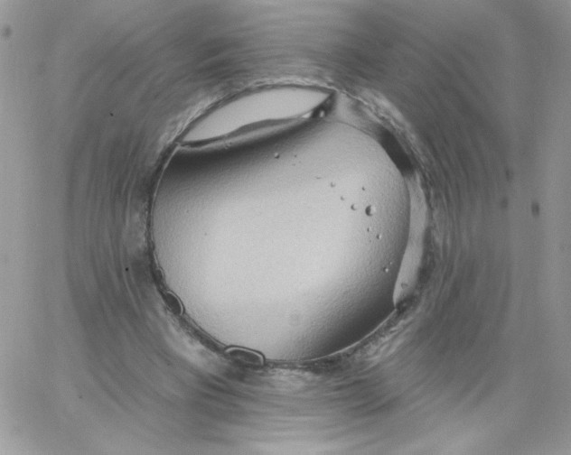 X0000062890393200602031812