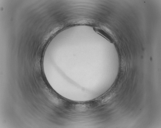 X0000062890394200602031812