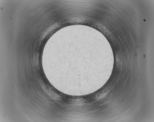 X0000062890396200602031812