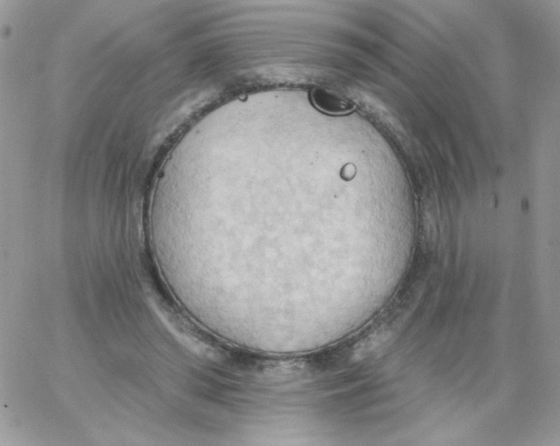 X0000062890398200602031812