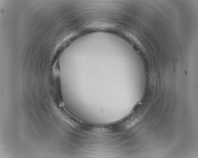 X0000062890399200602031812