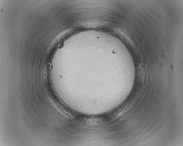 X0000062890400200602031812