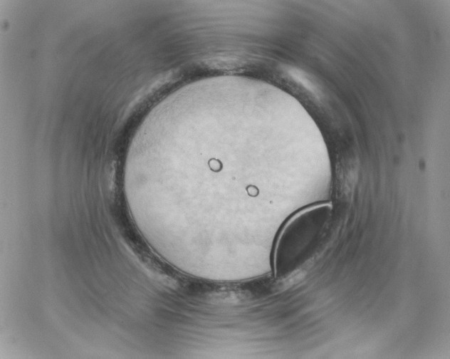 X0000062890404200602031812