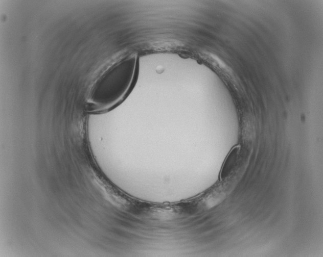 X0000062890405200602031812