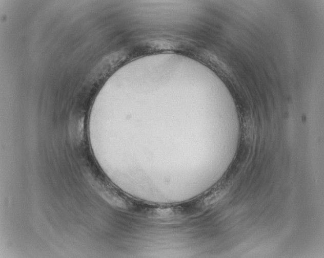 X0000062890406200602031812