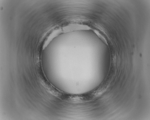 X0000062890407200602031812