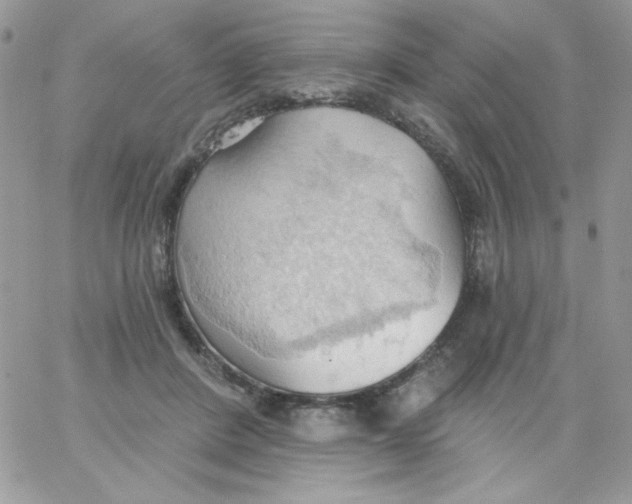 X0000062890408200602031812