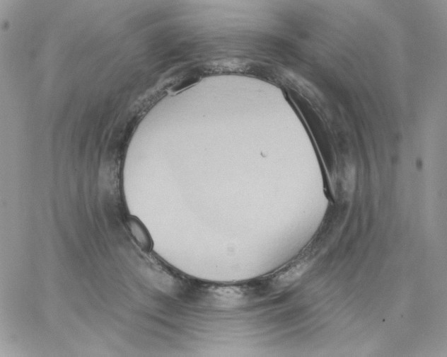 X0000062890409200602031812