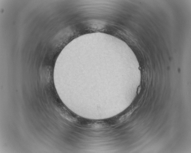 X0000062890412200602031812