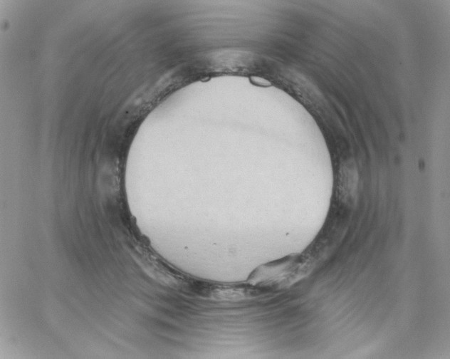 X0000062890413200602031812