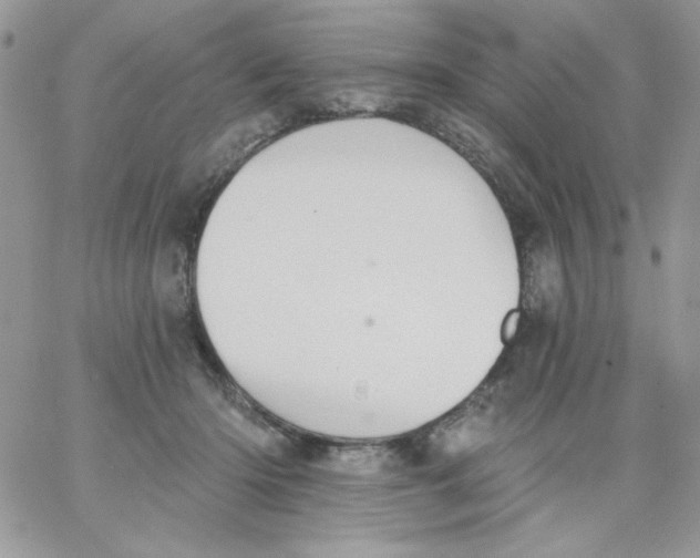 X0000062890414200602031812