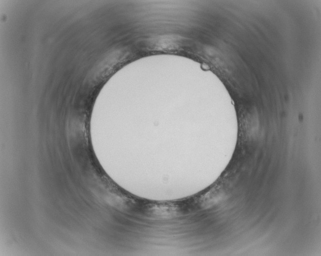 X0000062890415200602031812