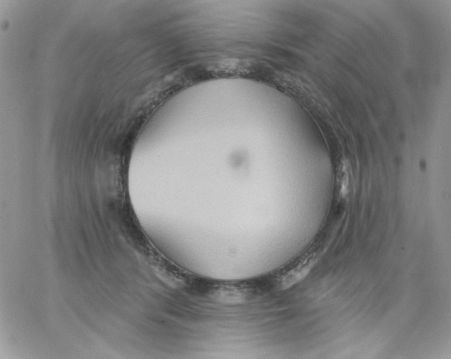 X0000062890416200602031812