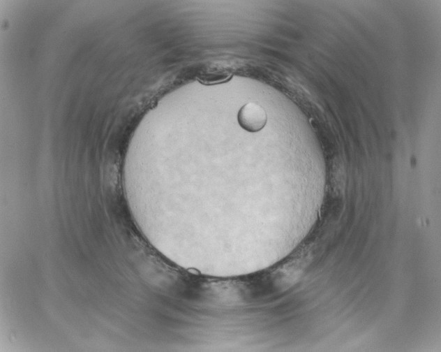 X0000062890417200602031812