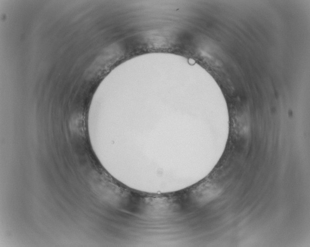 X0000062890419200602031812