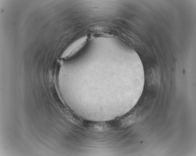 X0000062890420200602031812