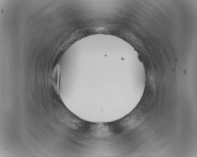 X0000062890421200602031812