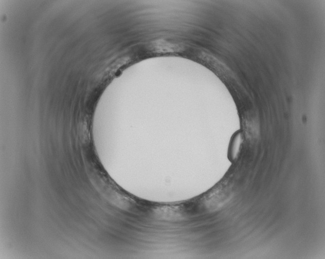 X0000062890422200602031812