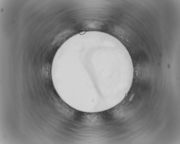 X0000062890423200602031812