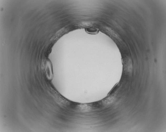 X0000062890425200602031812