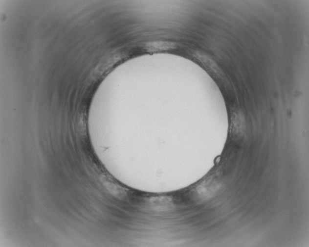 X0000062890426200602031812