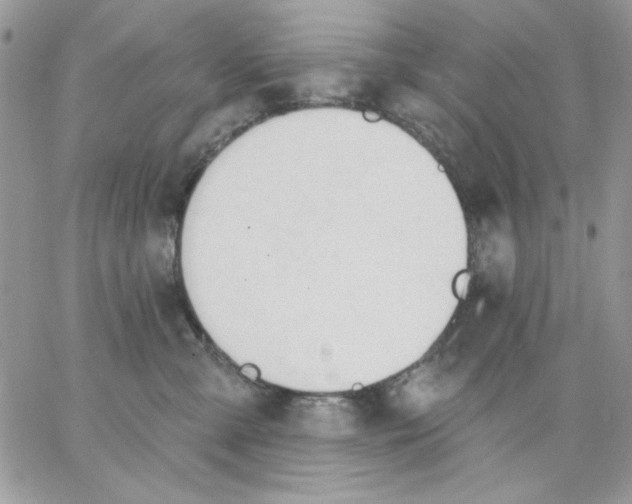 X0000062890427200602031812