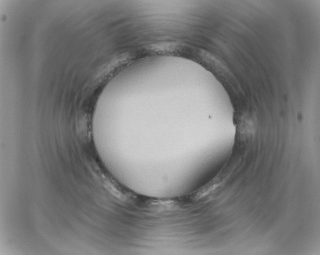 X0000062890428200602031812