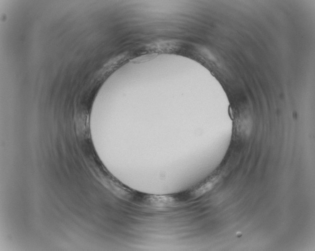 X0000062890429200602031812