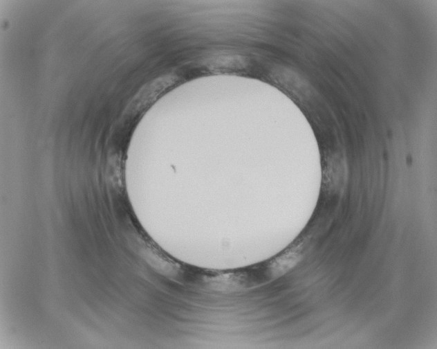 X0000062890430200602031812