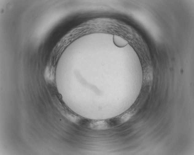 X0000062890431200602031812