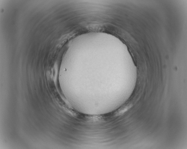 X0000062890432200602031812