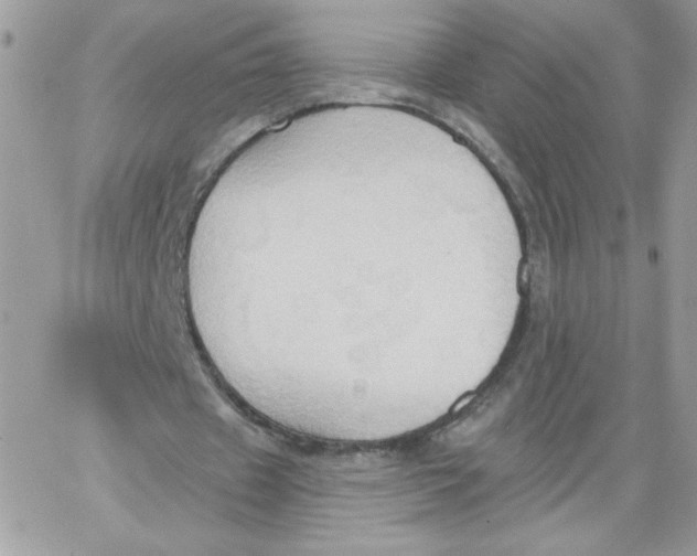 X0000062890433200602031811