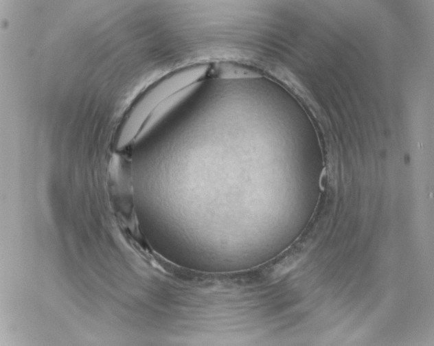 X0000062890434200602031811