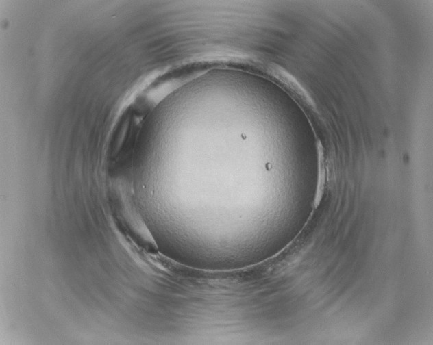 X0000062890436200602031811