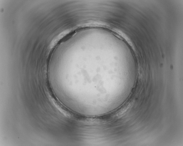 X0000062890437200602031811