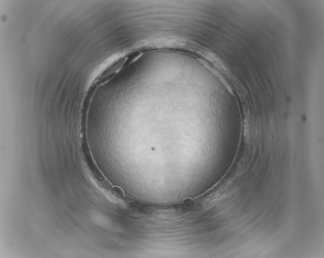 X0000062890438200602031811