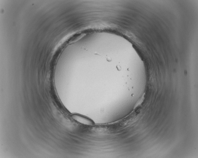 X0000062890440200602031811