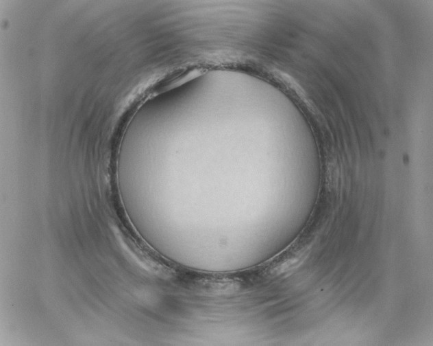 X0000062890443200602031811