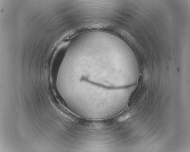 X0000062890444200602031811