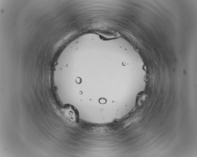 X0000062890446200602031811