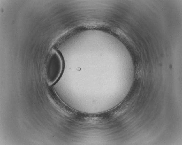 X0000062890448200602031811