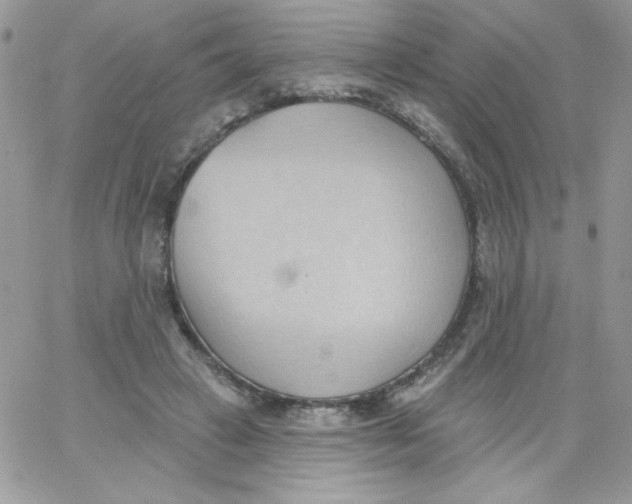 X0000062890449200602031811