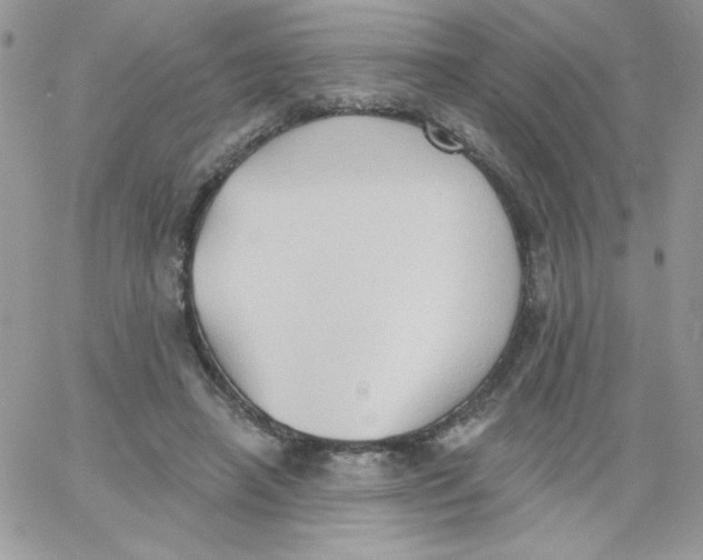 X0000062890450200602031811