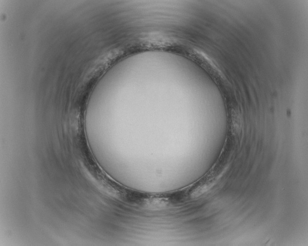 X0000062890451200602031811